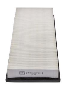 CHAMPION  CAF100517P