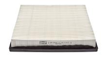 CHAMPION  CAF100544P
