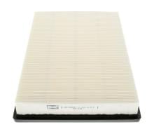 CHAMPION  CAF100554P