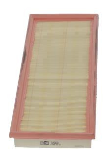 CHAMPION  CAF100560P