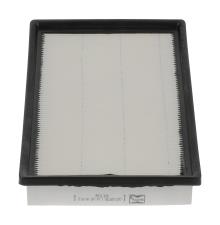 CHAMPION  CAF100573P