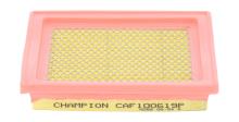 CHAMPION  CAF100619P