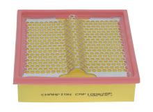 CHAMPION  CAF100625P