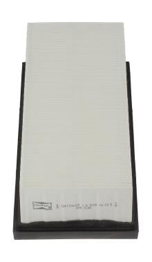 CHAMPION  CAF100631P