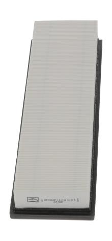 CHAMPION  CAF100638P