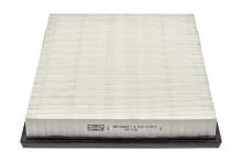 CHAMPION  CAF100666P