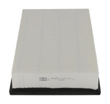 CHAMPION  CAF100700P