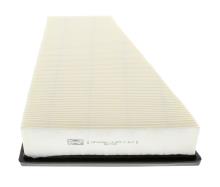 CHAMPION  CAF100706P