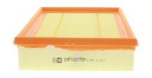 CHAMPION  CAF100775P