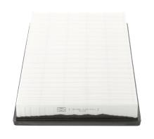 CHAMPION  CAF100788P