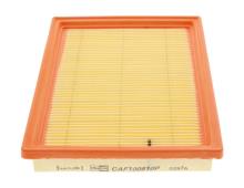CHAMPION  CAF100810P