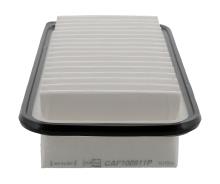 CHAMPION CAF100811P
