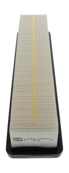 CHAMPION CAF100817P