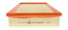 CHAMPION  CAF100823P
