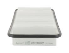 CHAMPION  CAF100828P