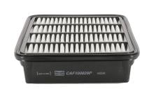 CHAMPION  CAF100829P
