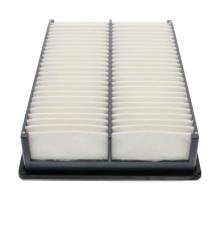 CHAMPION  CAF100831P