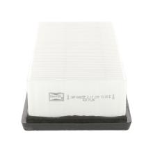 CHAMPION  CAF100835P