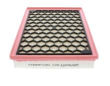 CHAMPION  CAF100839P