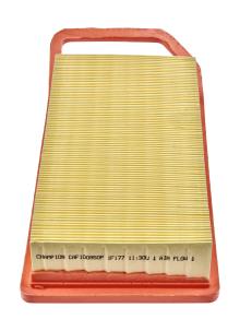 CHAMPION  CAF100850P