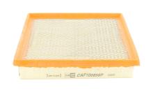 CHAMPION  CAF100856P
