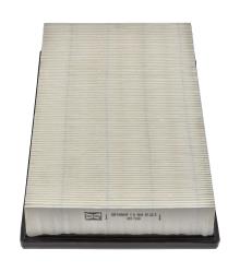 CHAMPION  CAF100864P