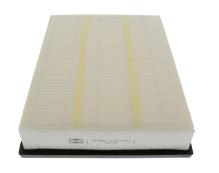 CHAMPION  CAF100868P