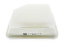 CHAMPION  CAF100874P
