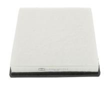 CHAMPION  CAF100875P
