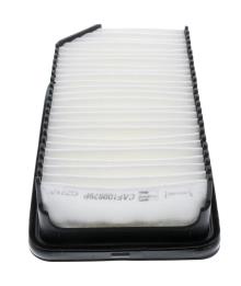 CHAMPION  CAF100879P
