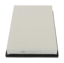 CHAMPION  CAF100883P