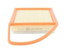CHAMPION  CAF100916P