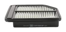CHAMPION  CAF100919P