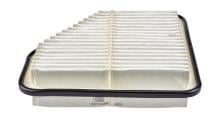 CHAMPION  CAF100920P