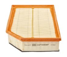 CHAMPION  CAF100938P