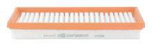 CHAMPION  CAF100941P