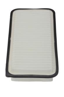 CHAMPION  CAF100985P
