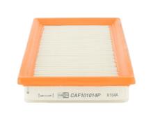CHAMPION  CAF101014P