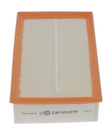 CHAMPION  CAF101077P