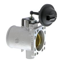 ACKOJA A53-81-0008