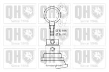 QUINTON HAZELL QFP531