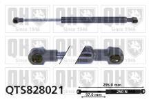 QUINTON HAZELL QTS828021