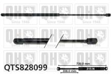 QUINTON HAZELL QTS828099
