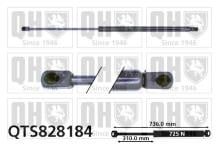 QUINTON HAZELL QTS828184