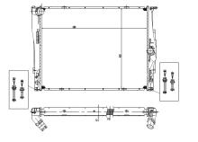 TYC 703-0004