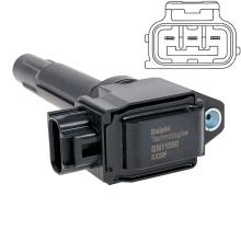 DELPHI GN11090-12B1