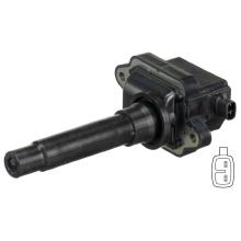 DELPHI GN10808-12B1