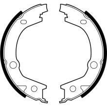 DELPHI LS2001