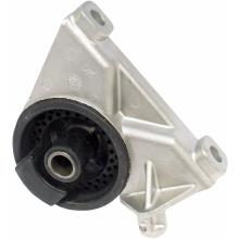 DELPHI TEM010