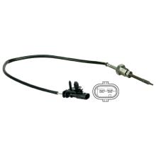 DELPHI TS30061